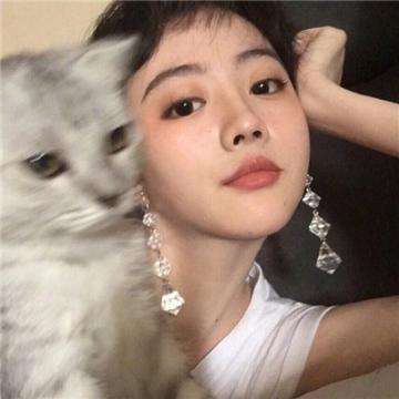 口袋决斗手游九游版下载